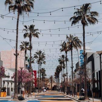 A palm tree-lined street features string lights overhead, colorful buildings, blooming pink trees, and blue banners on storefronts, creating a lively, inviting atmosphere under a partly cloudy sky.