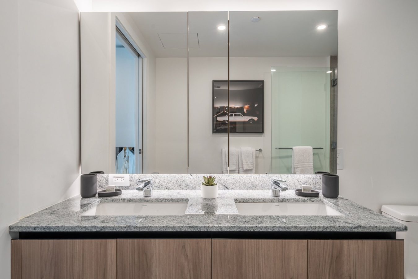 Modern bathroom with a double sink vanity, gray granite countertop, wooden cabinets, large mirrored cabinets above, and minimal decor including a small plant. A framed car photo and towels are visible in the background.