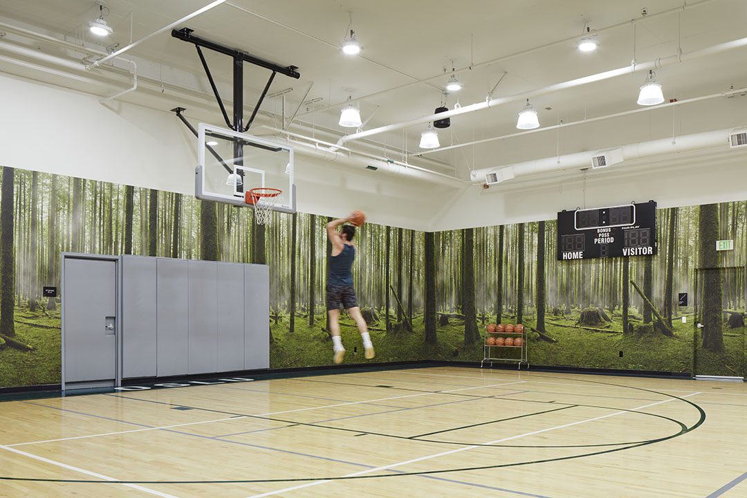 A person jumps to dunk a basketball in an indoor court with a forest mural on the walls, a scoreboard, and a rack of basketballs in the background.