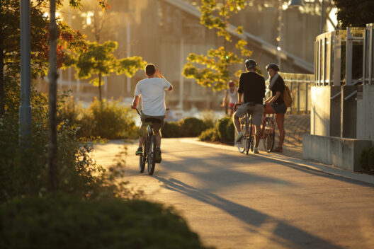 Four people ride bicycles on a sunny urban path surrounded by trees and greenery. Warm evening light casts long shadows across the pavement, creating a relaxed and pleasant atmosphere.