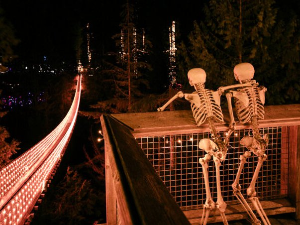 Photo courtesy of Capilano Suspension Bridge
