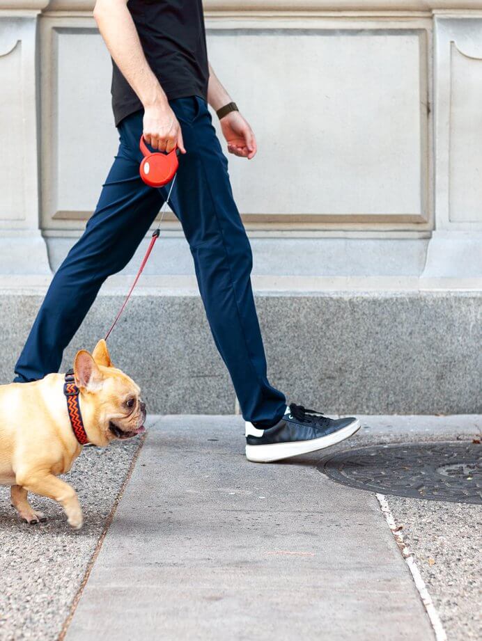 LongBeachNeighborhood