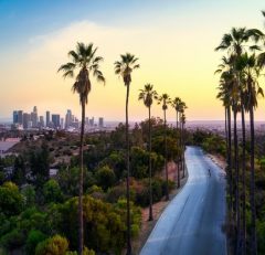 A winding road lined with tall palm trees leads toward downtown Los Angeles, with city skyscrapers in the distance at sunset and a crescent moon in the sky.