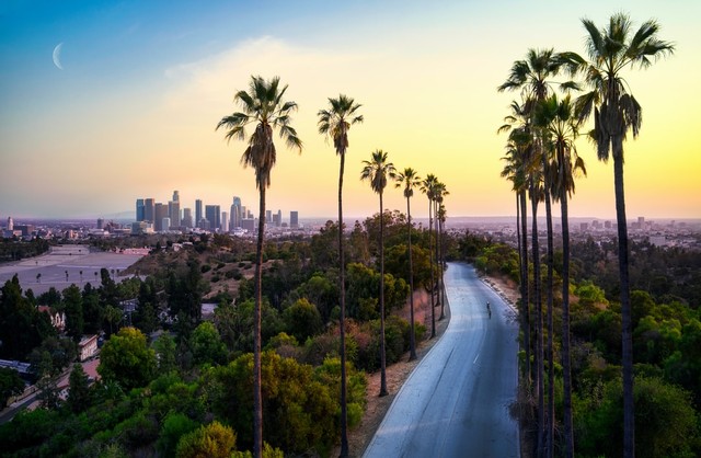 A winding road lined with tall palm trees leads toward downtown Los Angeles, with city skyscrapers in the distance at sunset and a crescent moon in the sky.