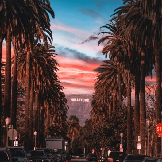 Palm trees line a street in Los Angeles at sunset, framing the iconic white Hollywood sign on the distant hills under a colorful pink and blue sky. Cars are parked along the street, and a stop sign is visible.