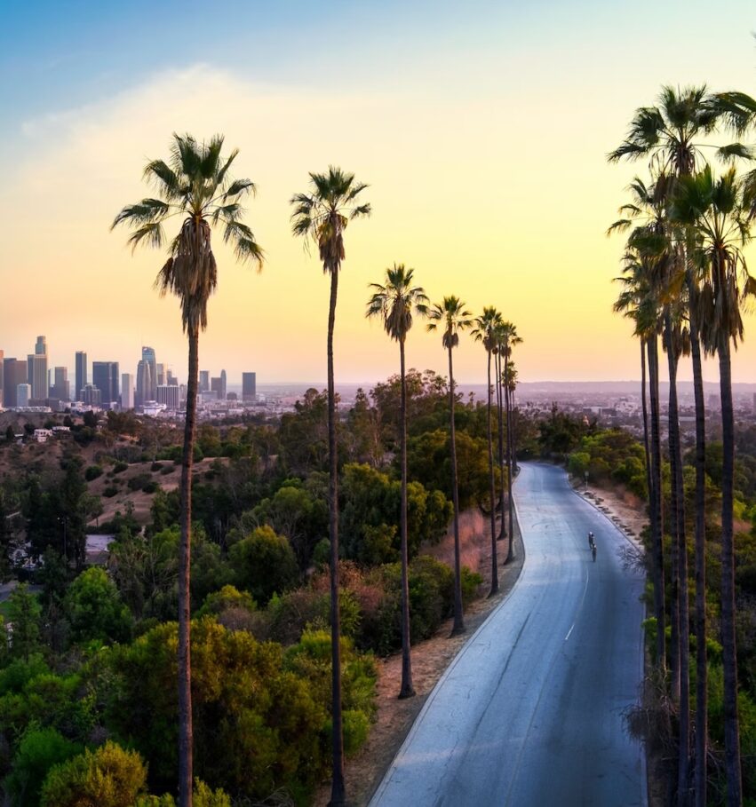 A curved road lined with tall palm trees leads toward downtown Los Angeles at sunset, with city skyscrapers in the distance and a cyclist riding along the empty road.